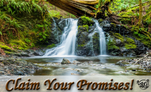 stream-promises