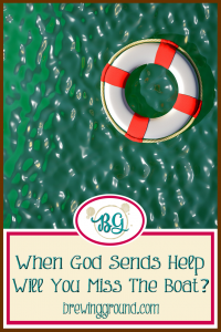 lifebelt-miss-the-boat-v