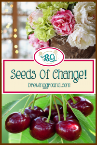 Seeds of Change